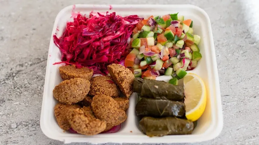 Falafel and vine leaves with salads and lemon